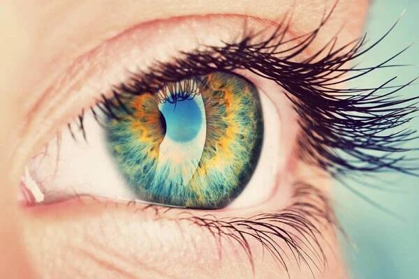 Closeup of an Eye