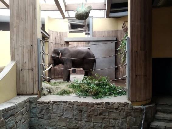 Výlet do ZOO – Žasnem