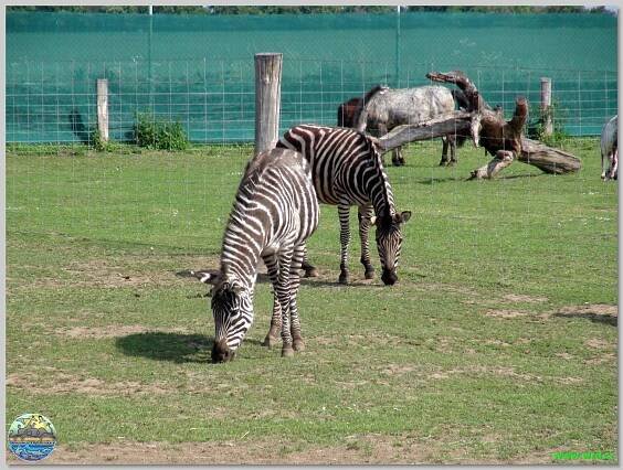 Zoopark Stěžery
