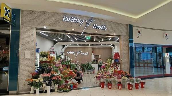 Květiny Novák foto 5