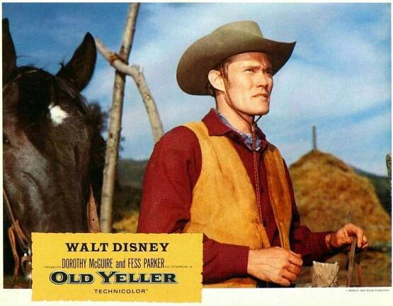 Disney's Old Yeller: The classic movie about the best doggone dog in the west (1958) 3