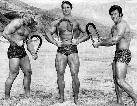 Dave Draper, Arnold Schwarzenegger, Frank Zane 