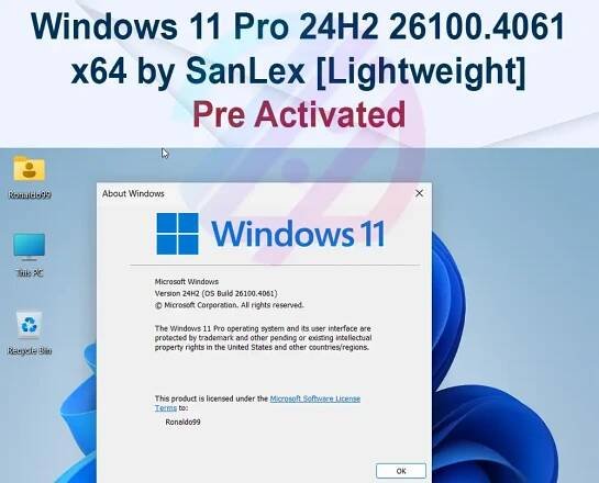 Windows 11 Pro 24H2 26100.4061 x64 by SanLex [Lightweight] [Ru / En]