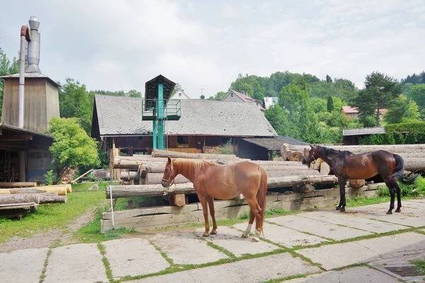 Stáj Euridika foto 1