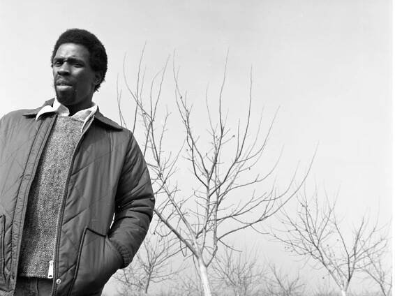 Charles Gaines - Hauser & Wirth