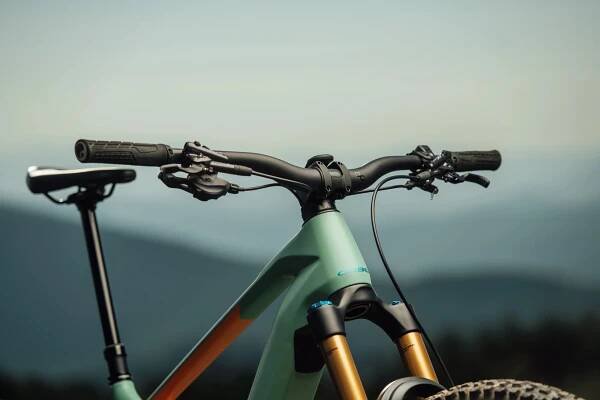 2025 orbea wild bosch cx