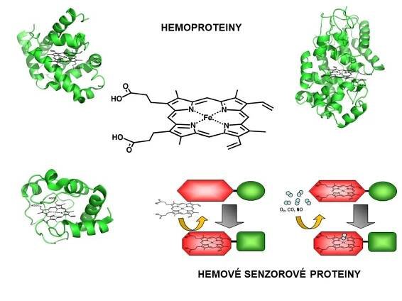 Vol 116 No 3 (2022) | Chemické listy 