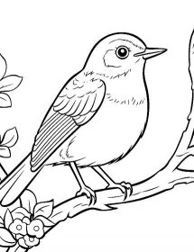 Robin in Spring Bird Coloring Page - A cheerful robin sitting on a branch during springtime.