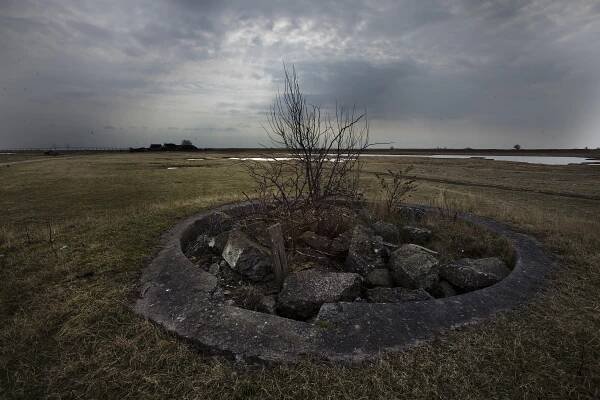 Tidligere tysk Kanonstilling på saltholm fyldt med murbrokker, så dyrene ikke falder i.