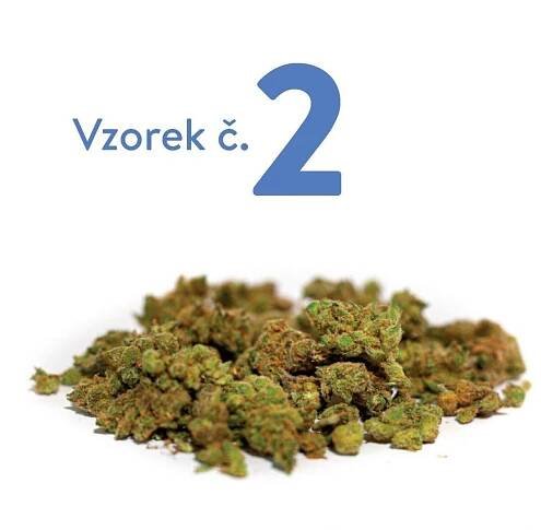 Recenze na léčebné konopí: Odrůda Elkoplastu Slušovice s 16 % THC – Magazín Konopí