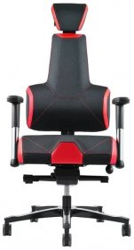 Zdravotní židle E+Gamer