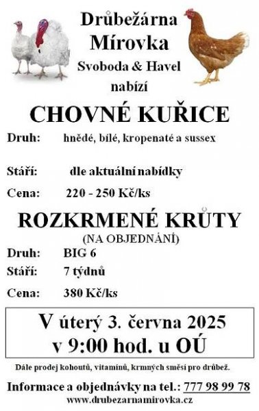 prodej drůbeže2025.JPG