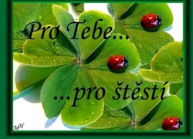 a ladybug sitting on top of green leaves with the words pro tebe proste