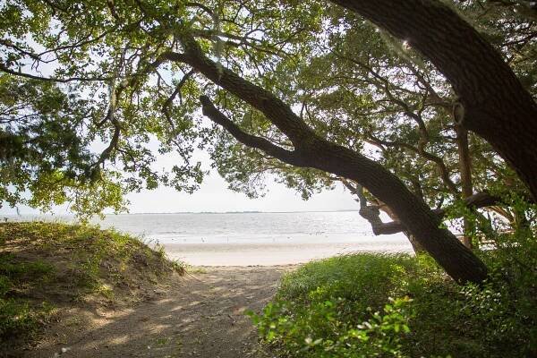 Terms & Conditions/ Privacy Policy • Jekyll Island, Georgia • Vacation, Conservation, and Education Destination
