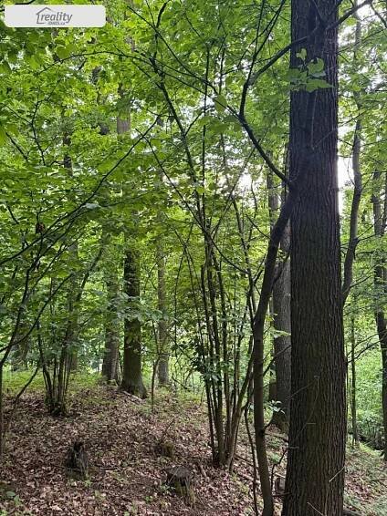 Prodej Pozemek, Heřmanice, okres Havlíčkův Brod
