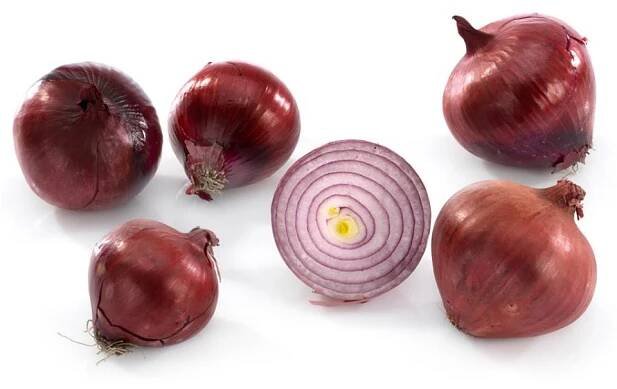 Bio Cibuľa červená 100g - kg