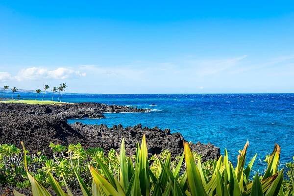 Hali'i Kai 8G | Kona Hawaii Vacation Rentals | Kona Coast Vacations | Kona Coast