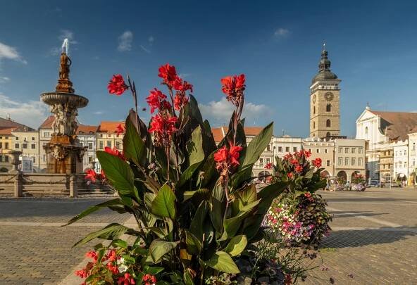 České Budějovice – Léto ve městě