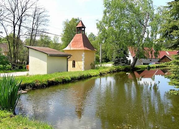 Soubor:Votice, Bučovice, common pond.jpg