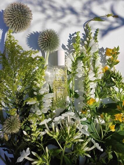 Hemlock & Bergamot Jo Malone London pro ženy a muže