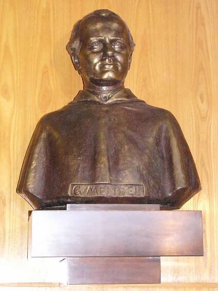 Soubor:Gregor Johann Mendel bust.jpg – Wikipedie