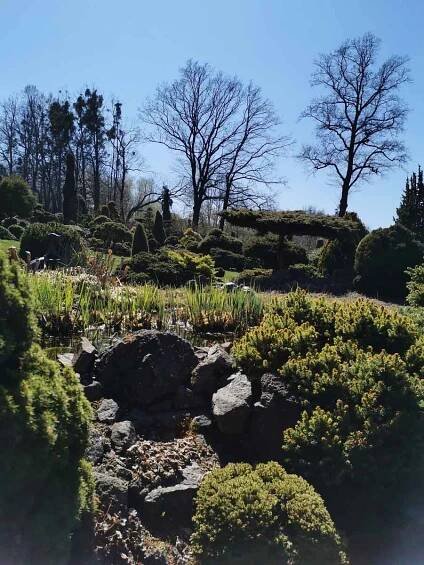 Miniarboretum U Holubů ve Staříči.