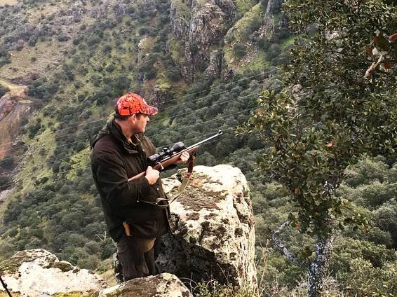 MONTERIA - DRIVEN HUNT | SPAINSAFARIS
