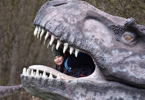 VIDEO: Tyrannosauři v akci. DinoPark u Ostravy opět otevřel své brány