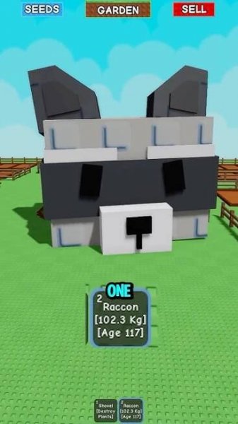 Raccon 102 Kg in Grow A Garden #growagarden #roblox