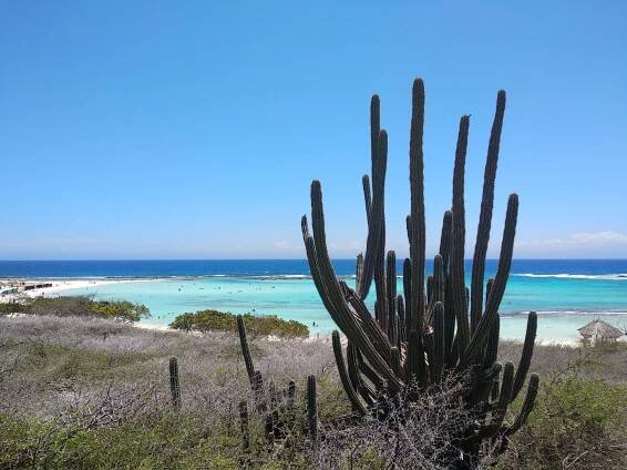 Aruba | Inovatívne designové prvky
