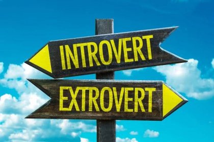 Introverts - how to step out of your shell and have successful business