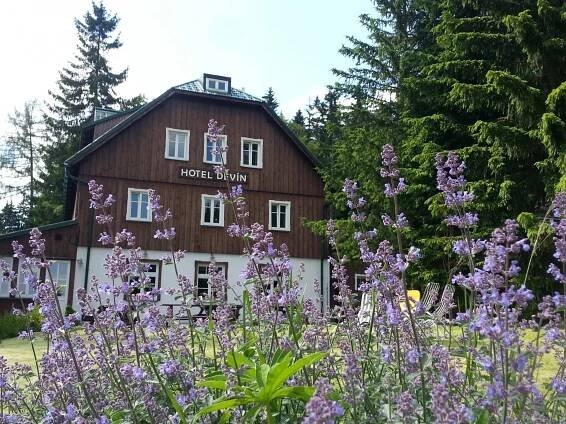 Děvín | Hotel / Ubytování