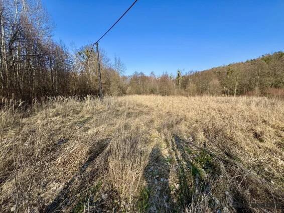 PRODEJ stavebního pozemku 3579 m2, Morašice - Holičky, okres Chrudim