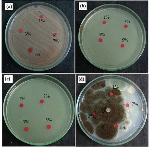Fig. 6. Photographs of ZnO-APTES-DGEBA nanocomposite film against (a) Streptomyces; (b) Staphylococcus aureus; (c) Pseudomonas aeruginosa and (d) Aspergillus niger. 