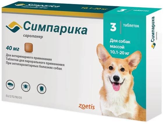 Nejlepší ošetření proti klíšťatům pro psy – Nejlepší ošetření proti blechám a klíšťatům