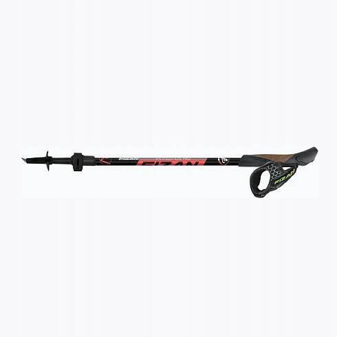 Hole na nordic walking Fizan Revolution Pro 58-130 cm Kód výrobce 8056420783056