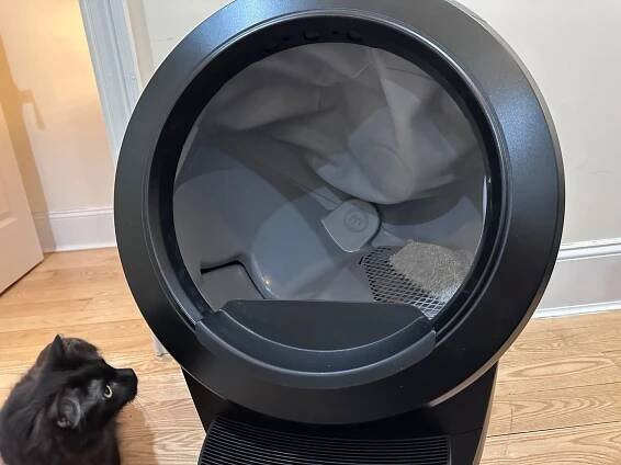 A cat looking at the Whisker Litter-Robot 4