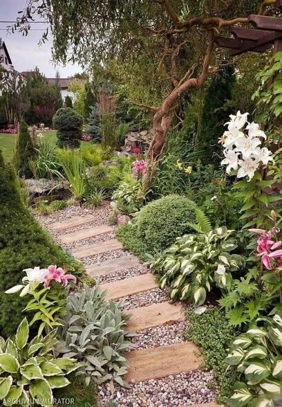 a garden with lots of plants and flowers