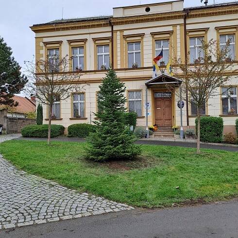 Libochovany mají na návsi novou jedli, poslouží jako vánoční strom - Litoměřicko24