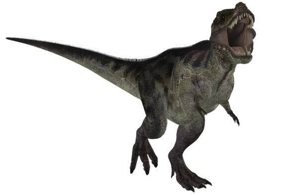 Dinosaurus, Tyrannosaurus, Zvíře, Plaz