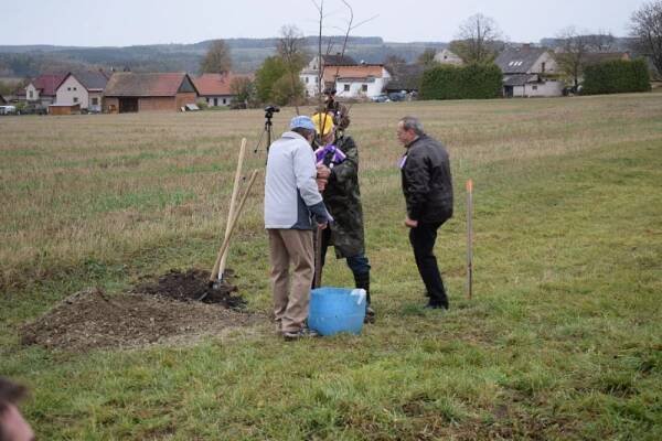 Sázení lípy - oslavy 100 let republiky - Oficiální stránky obce Byzhradec