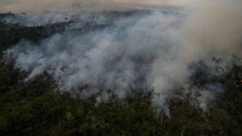 Letecké záběry odhalují zdevastovanou Amazonii. Budeme lapat po dechu, varují experti