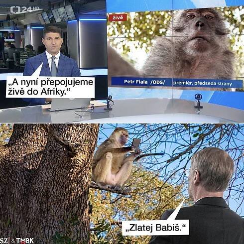 Premiér pokračuje v cestě Afrikou. Jeho putování mu ovšem překazil nečekaný vetřelec. Fialovo dobrodružství očima TMBK pro Seznam Zprávy.