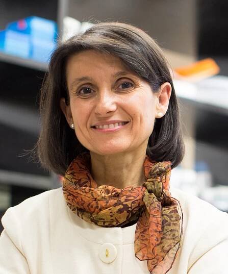 Ana Maria Cuervo, M.D., Ph.D.
