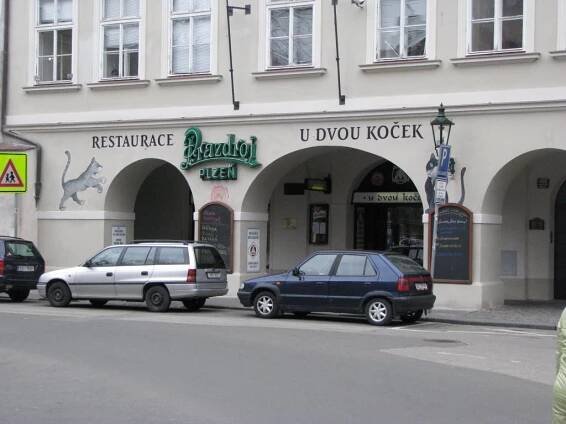U dvou koček
