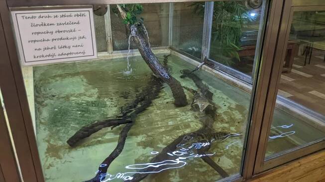 Krokodýlí ZOO Protivín - Cestovatelské tapas