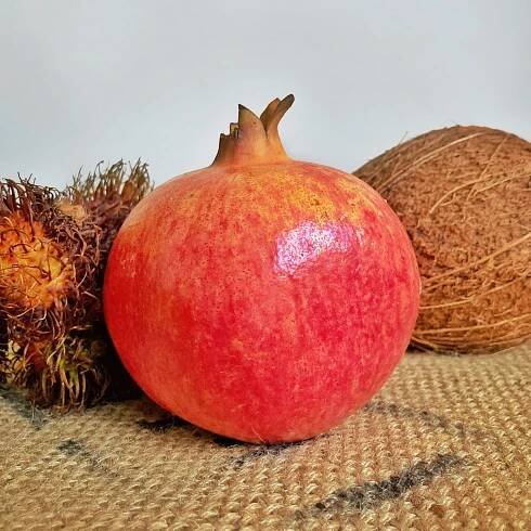 Trying Rare and Wonderful Tropical Fruits From Exotic Fruits UK - Grateful Green Life
