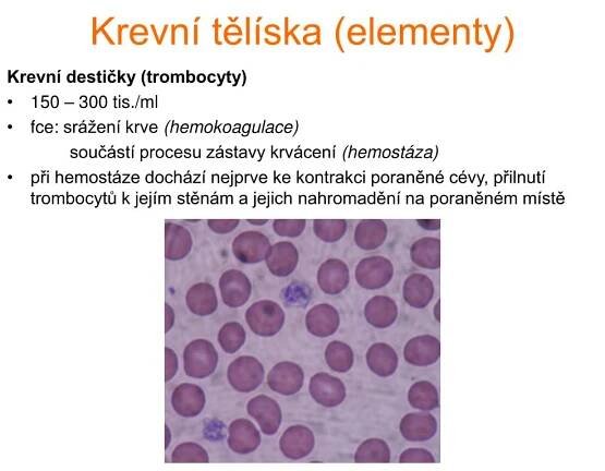 PPT - OBĚHOVÁ SOUSTAVA PowerPoint Presentation, free download - ID:5883126