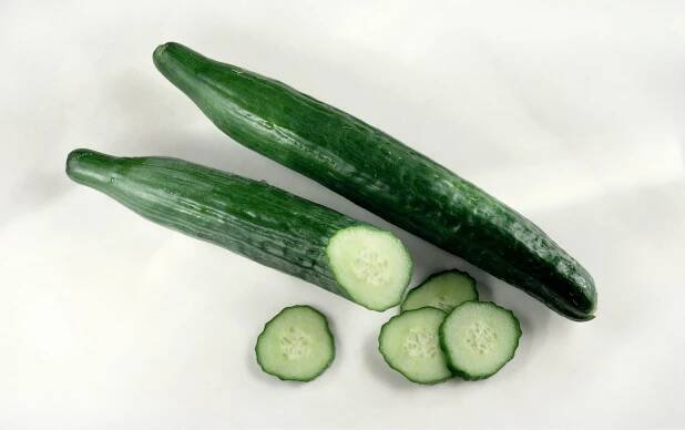 Seedless Cucumbers