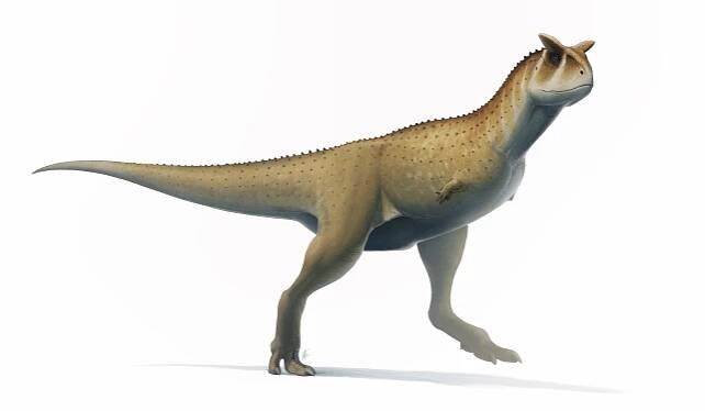 Bezruký dinosaurus nebyl bezbranný. Dokázal zabíjet i obří titanosaury